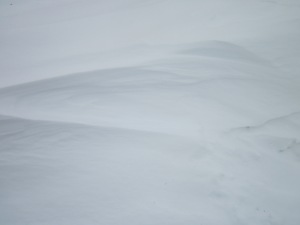 snow sand - Photo by Jelane A. Kennedy