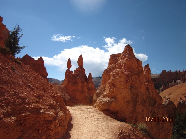 One the trail in Bryce. Photos by Jelane A. Kennedy