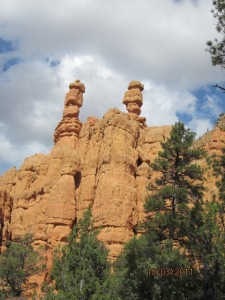 Looking up at Hoodoos at Bryce. Photo by Jelane A. Kennedy